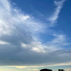 Meet your Posher, Joyce